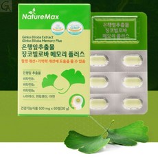 까먹는기억력 징코 개선제 깜빡하는부모님 어르신선물 영양제 노인선물용 건망증있는