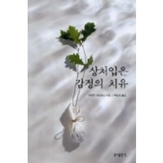 상처입은 감정의 치유, 분도출판사