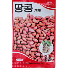 세인화분 국산 땅콩 30g - 씨 씨앗 땅콩씨 땅콩씨앗