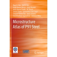 (영문도서) Microstructure Atlas of P91 Steel Paperback, Springer, English, 9789811995644