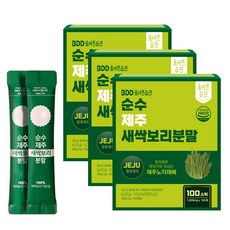 올바른습관 순수 제주 새싹보리 분말스틱 컬리케일, 100g, 3박스