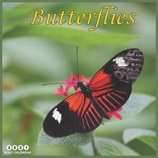 Butterflies 2021 Wall Calendar: Beautiful Butterflies 2021 Calendar 8.5" x 8.5" - glossy finish Paperback, Independently Published, English, 9798695269277