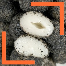 흑임자 인절미 흑임자인절미떡, 1세트, 600g