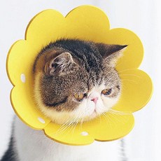 가벼운 부직포 펫목보호대 펫넥카라 상처보호 강아지카라 반려견 넥카라, 5펠트펫넥카라-노랑L, 1개