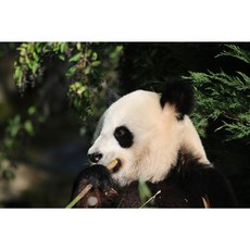 타이탄젯 고압세척기 가정용 산업용 16M 호스 고압세차기, 옐로우