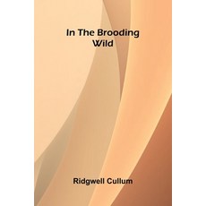 (영문도서)In The Brooding Wild Paperback, Alpha Edition, English, 9789371774277
