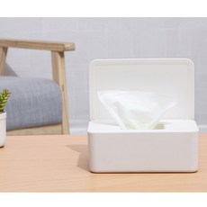 드림 1+1심플 물티슈(소) 케이스 정리함 통 원터치 보관함 인테리어 정리 소품, 1개, 화이트+화이트