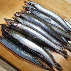 국내산 동해안 급냉 양미리 1키로(30미내외) 2키로 제철양미리 냉동양미리 고소한 자연산 양미리 암수랜덤, 1세트, 급냉 양미리 1kg 30미내외