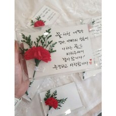 [데이지솝]어버이날 스승의날 선물 캘리그라피 카네이션 엽서 제작 핸드메이드 수제엽서, 캘리그라피엽서(원하시는 문구로 써드려요)