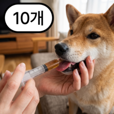 강아지 고양이 약먹이는 바늘없는 일회용 주사기, 10개, 투명, 10ml
