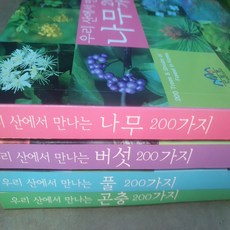 우리 산에서 만나는 나무.버섯.풀.곤충 200가지 4권묶음/국립수목원