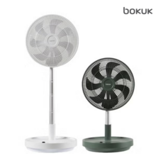 보국 에어젯 BLDC 모터 스마트 리모컨 무선폴딩팬 BKF-5730W/G, BKF-5730G(그린)