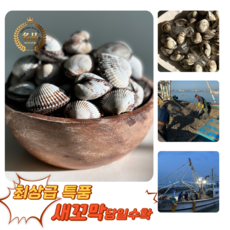 [굿피플] 새꼬막 새꼬막살 벌교꼬막 고막 벌교세꼬막 꼬막비빔장 참꼬막, 1박스, 새꼬막 1kg 상