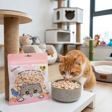 Ciao Ciao 雞肉凍乾貓零食, 35g, 1個