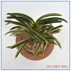 [재희난] 팔중의 27, 1개