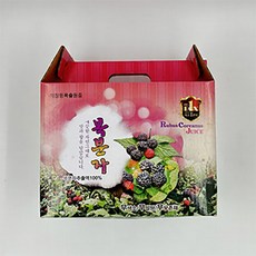 무설탕 복분자차 100ml, 1개, 50개입