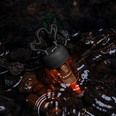 BLACKDOG 캐롯 무드 랜턴 CBD2450ZM014, 1개, 블랙