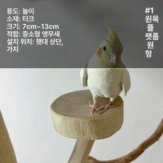 앵무새 횟대 나뭇가지 새장 통나무 1. 스탠드형 훈련대, 1개, 1단 원목 플랫폼 원형