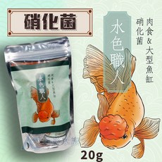 水色職人 肉食與大型魚缸硝化菌, 1個, 免運費! 肉食&大型魚缸硝化菌（20g）