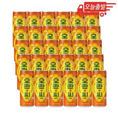 오늘출발 오란씨 오렌지 캔, 30개, 250ml