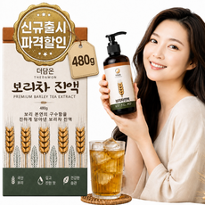 더담온 국산보리 보리차 진액, 1개, 480g