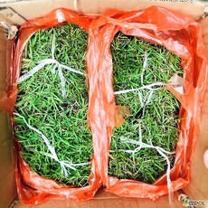 청년농부 고급 천연잔디 18cmX18cm 25장(산소잔디 마당잔디 강아지잔디), 1개