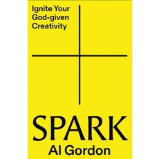 (영문도서)Spark: Ignite Your God-Given Creativity Paperback, Zondervan, English, 9780310176930
