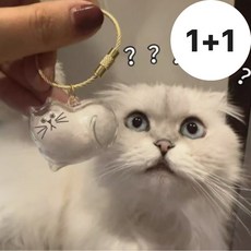 [리뉴얼]웰로비 고양이털키링 고양이털보관키링 털뭉치 반려동물털키링 캡슐 반려묘