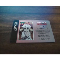 헌터헌터 헌헌 캐릭터 신분증 자격증 카드 곤 키르아 크라피카 레오리오 히소카, J