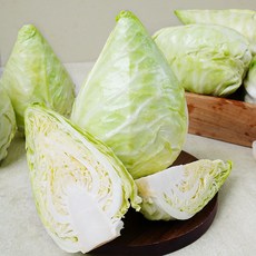 금메달농수산 특품 국내산 제주도 고깔 양배추, 1개, 5kg