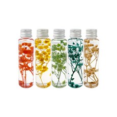 (TD) 프리저브드 플라워 미니 하바리움 (5개 1세트)