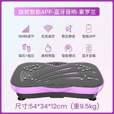 홈 트레이닝 덜덜이 스텝퍼 기구 운동 전신 홈트레이닝기구 하체 가정용 실내운동 진동, M. 플래그십 APP 모델 바이올렛
