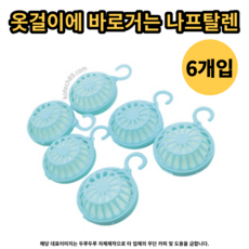 옷걸이에 바로거는 옷장용 나프탈렌 6p 화장실 방충제, 120g, 1개