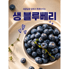 국내산 블루베리 특대과 18~20mm 100g 달콤과즙, 1개, [국내산] 블루베리 100g (18~20mm) 2팩