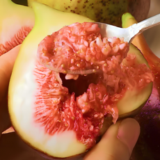 [프리미엄] 꿀당도 산지직송 무화과 홍무화과, 1박스, 2kg