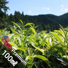 C023 아덴 그린티 100ml (Green Tea) 프래그런스오일 캔들 디퓨저 향수, 1개