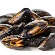 임프레시 여수 가막만 자숙 홍합, 1개, 3kg