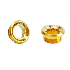 RISK TC4鈦合金螺絲 M20x8 齒盤大盤一體式BB軸心固定螺絲 梅花曲柄蓋螺釘, 金色, 1個