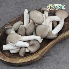 면역력 증가 청정 국내산 느타리버섯 2kg, 1개