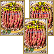 씨앗팜 얼룩이 강낭콩씨앗 3개(30gx3) 비덩굴성 콩씨앗, 3개