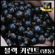 [명품] 냉동블랙커런트 (원산지 : 국내산), 1개, 1kg