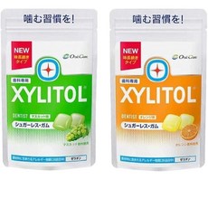 롯데 자일리톨 껌 머스캣+오렌지맛 2봉세트 /충치예방껌