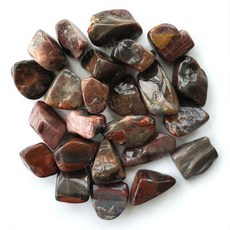 규화목 나무화석 관상구 목변석 돌공예 천연 목화석 천연목 화석 원석