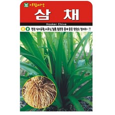 삼채 씨앗 씨 종자, 3개