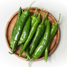 농산물마루 국내산 오이고추, 1개, 1kg