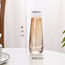 北歐小清新玻璃花瓶現代簡約精緻水養睡蓮玫瑰插花客廳餐桌麵擺件