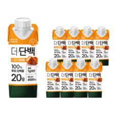 빙그레 더단백 드링크 카라멜, 250ml, 9개