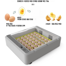 Apnoo 닭 부화기 36개 계란 전자동 지능형 부화기 가정용 계란 뒤집개 계란 부화기 가정용 전자동 부화기 장비 부화기 닭 오리 거위 및 메추라기에 적합, 1개, 회색