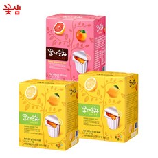 꽃샘 꿀레몬차 포션 2개 +꿀자몽차 포션 1개 (45개입), 450g
