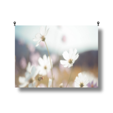 해룸 대형 패브릭 포스터 두꺼비집 가리개 페브릭 태피스트리 가림천 아트 행잉 초대형, 2.하얀 코스모스